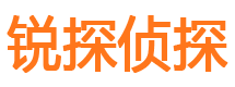 杜集侦探公司